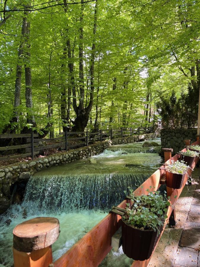 De La Villa Брезовица Экстерьер фото