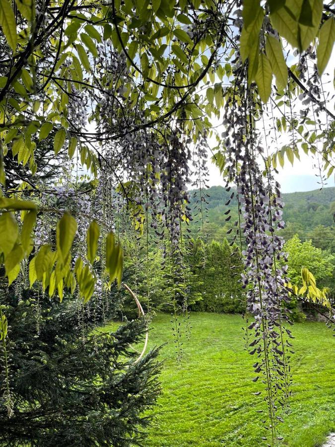 De La Villa Брезовица Экстерьер фото